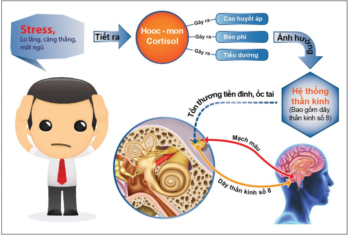 Dấu hiệu căng thẳng, stress? Giảm căng thẳng lo âu bằng cách nào? 